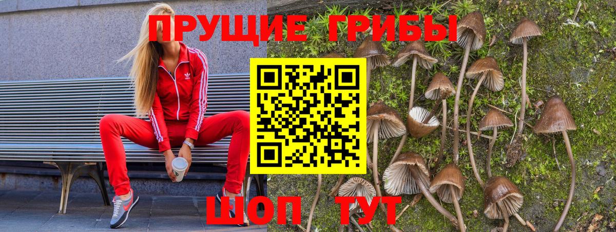 Псилоцибиновые грибы Magic Shrooms Феодосия
